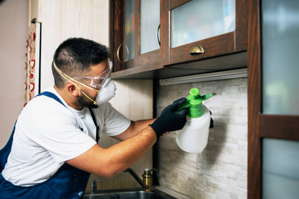 Best Residential Pest Control  in Waldo, AR