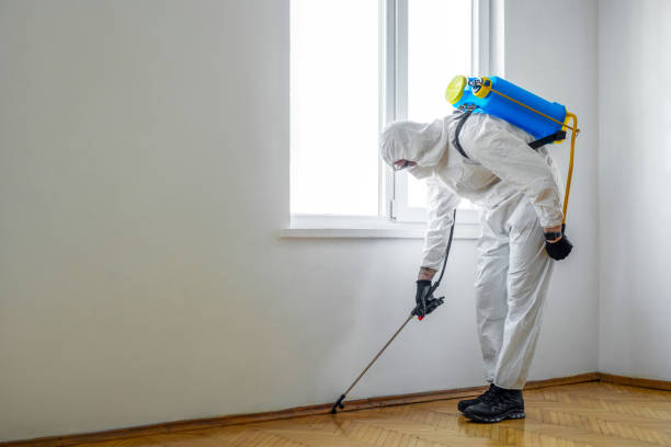 Best Termite Control Services  in Waldo, AR