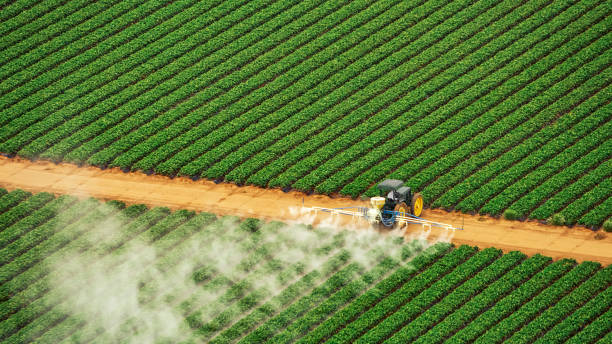 Insect Control in Waldo, AR